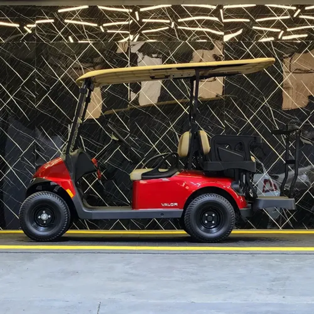 EZGO RXV Valor 2+2 — Batería de plomo — foto 5 de 6