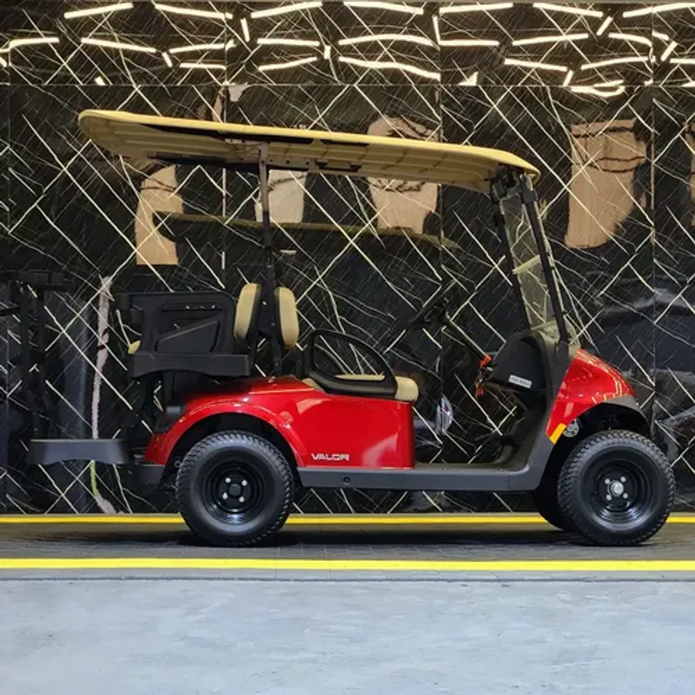 EZGO RXV Valor 2+2 — Batería de plomo — foto 6 de 6